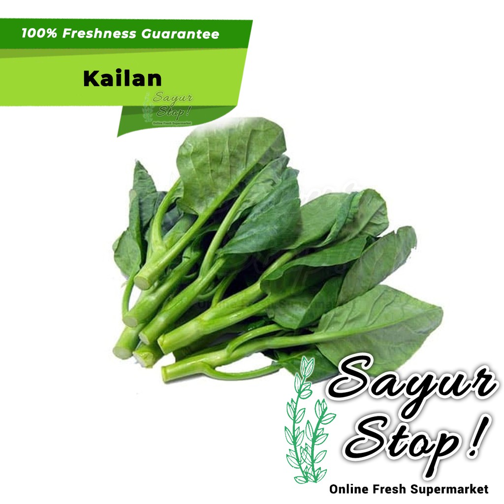 

Sayur Stop Kailan 250 gram