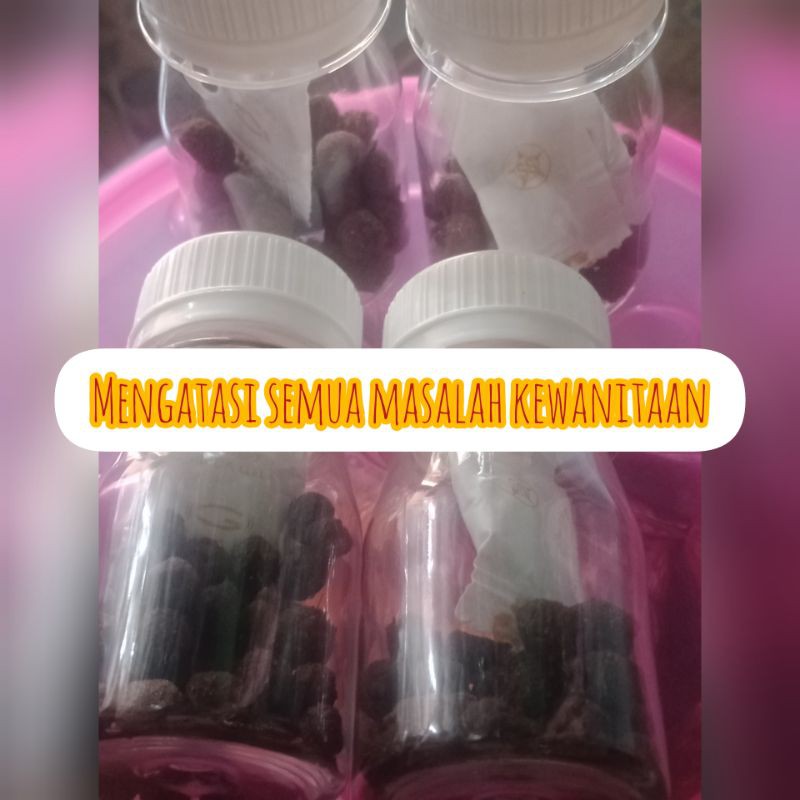 

jamu majaan