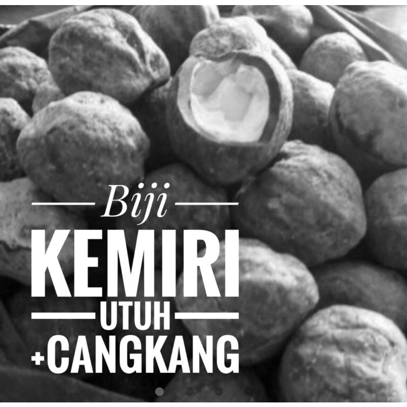 Buah Kemiri masih Batok atau cangkang Kulit utuh/biji untuk bumbu dan herbal