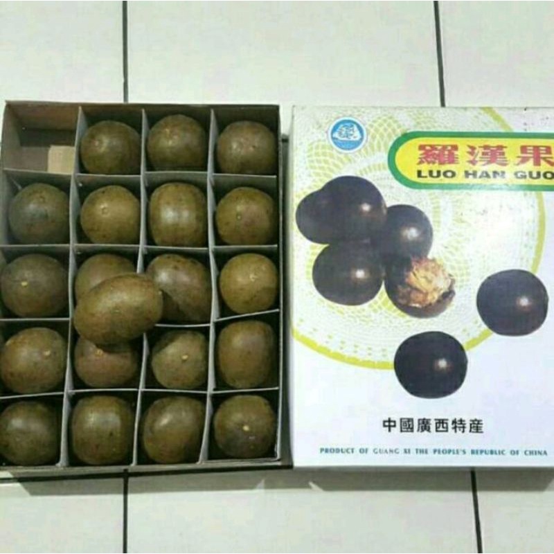 

Lohanko / Lohankuo / Lo Han Ko / Lo Han Kuo Ukuran Medium ( Standart )