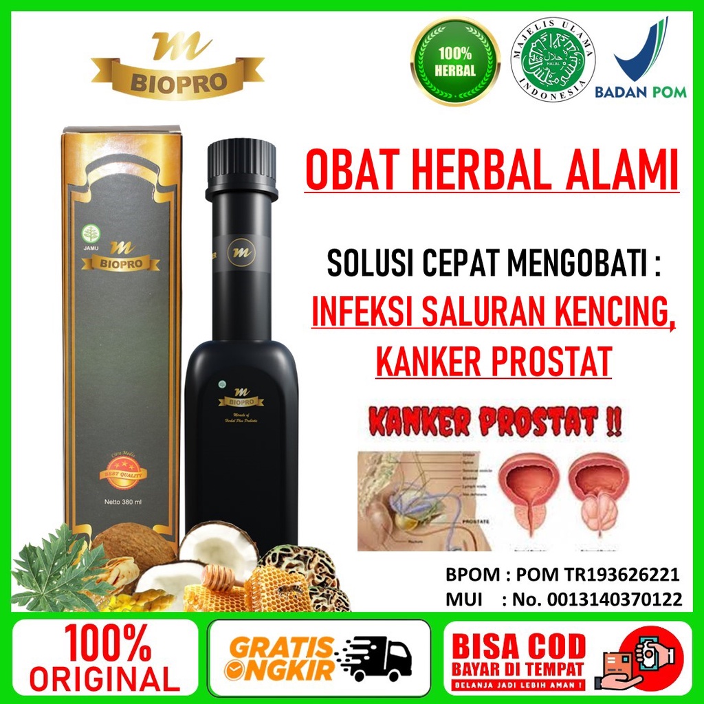 Obat Prostat Ampuh Herbal Paling Ampuh Herbal Terbaik Obat Infeksi Saluran Kemih Pria Wanita Obat In