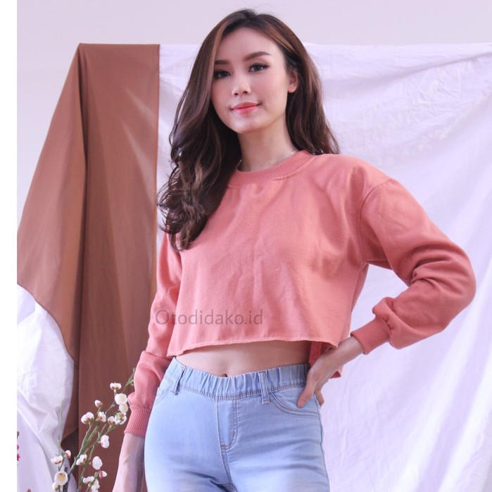 [BAYAR DITEMPAT] BASIC SWEATER CROP ALLSIZE & BIG SIZE-SALMON