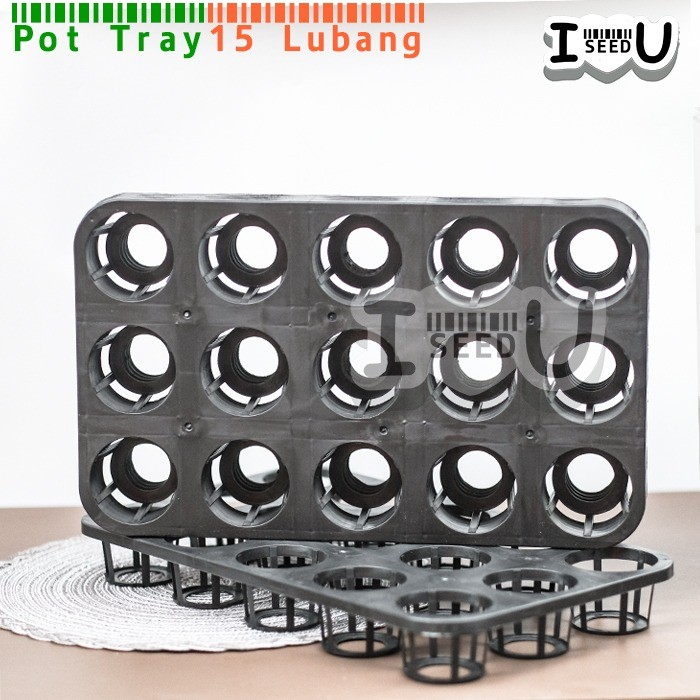 Pot Tray Semai Benih/Bibit Anggrek 15 Lubang