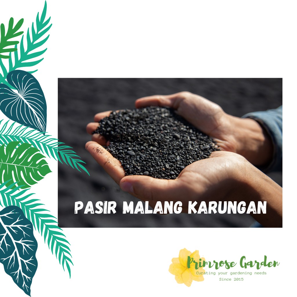 Pasir malang karungan