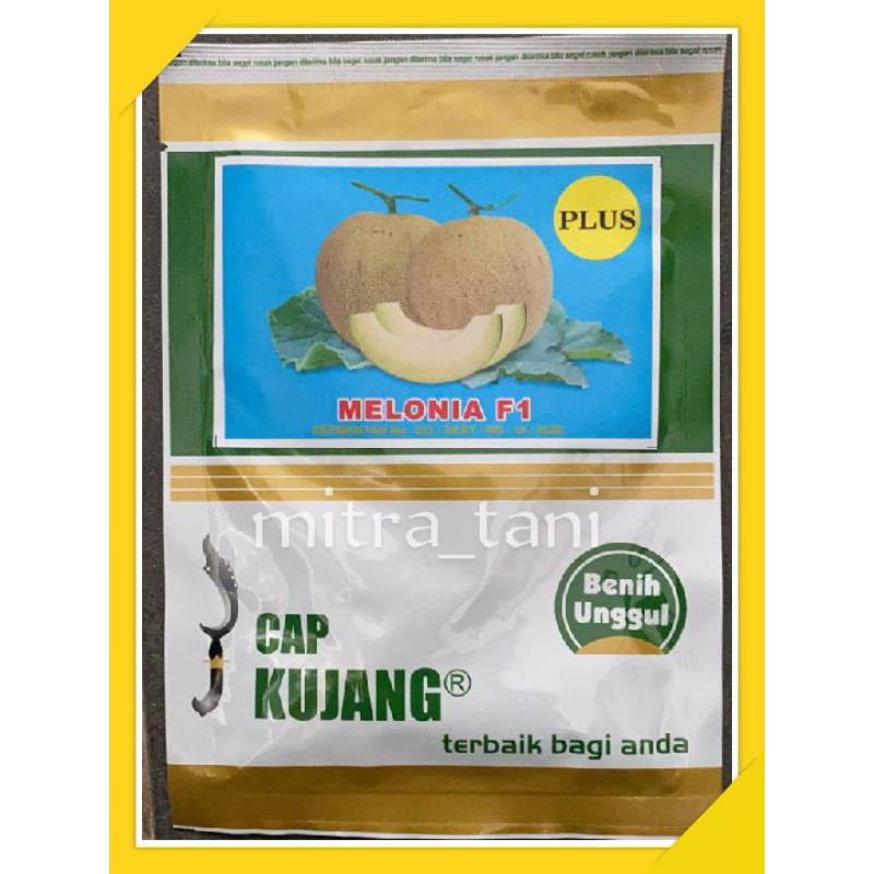 benih melon MELONIA PLUS isi -+550 butir dari CAP KUJANG