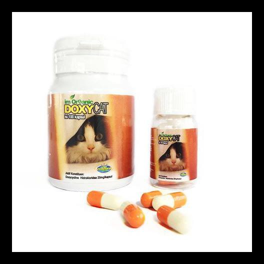 SPECIAL Obat Flu - Im Organic Doxy Cat