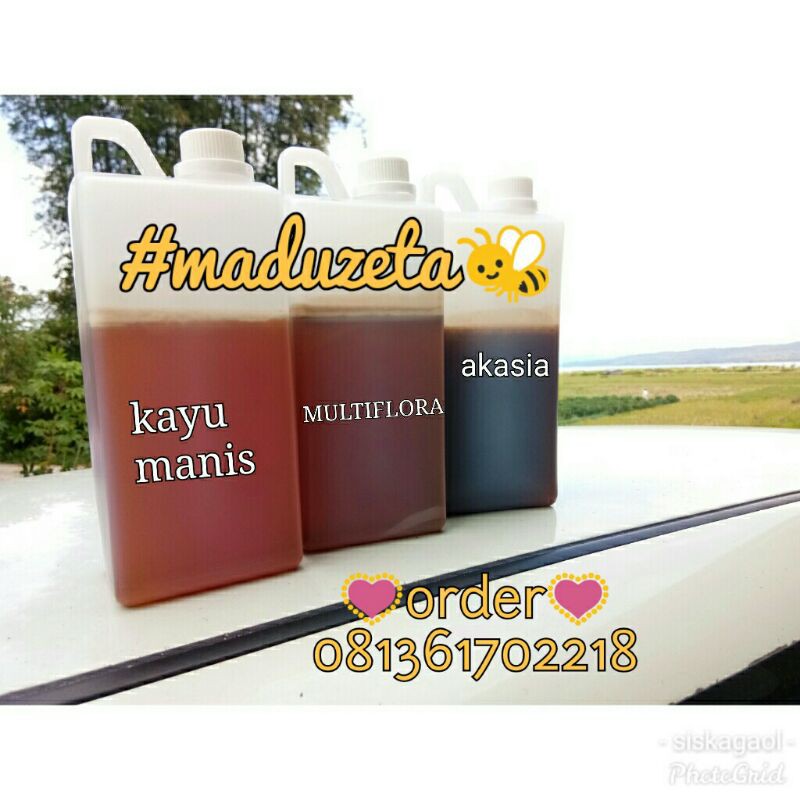 

Madu Hutan Asli
