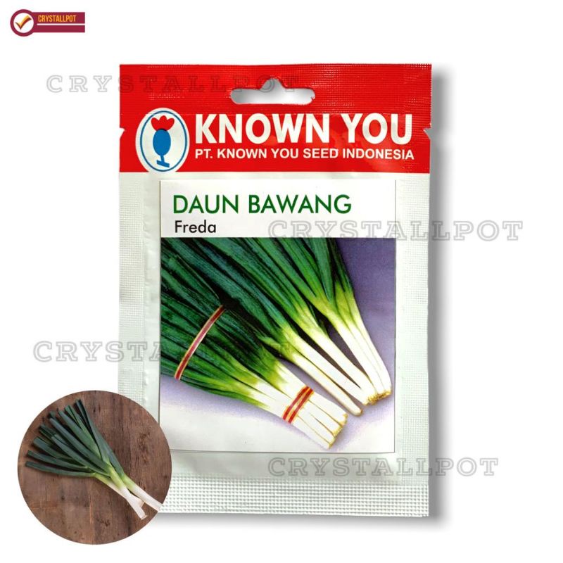 benih bibit DAUN BAWANG FREDA known you seed - KYS FREDA KEMASAN MERAH