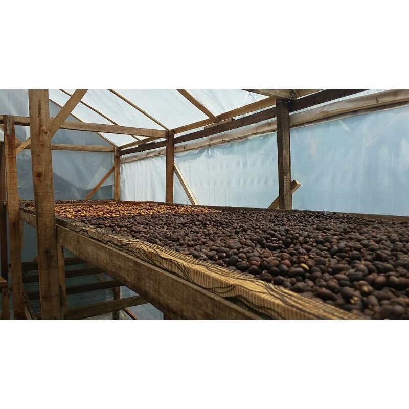 

fine robusta 100 gram robusta kecamatan jambu robusta kab.semarang