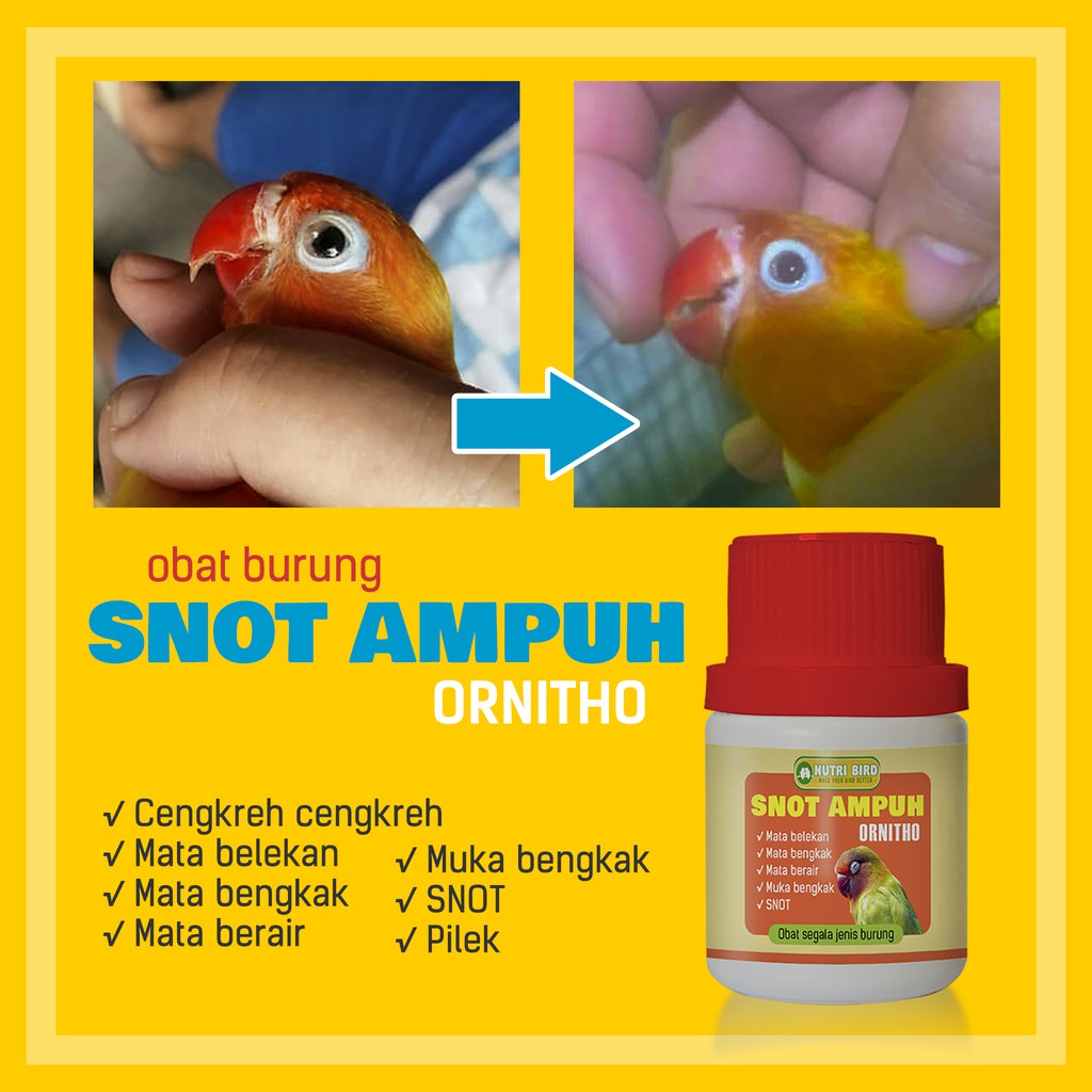 Obat burung SNOT AMPUH Ornitho