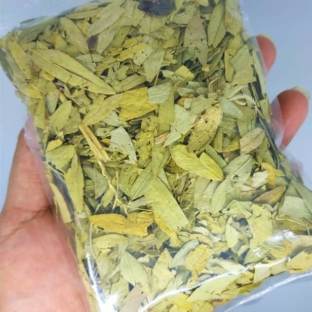 

(BISA COD) teh daun jati china asli harga promo 1kg