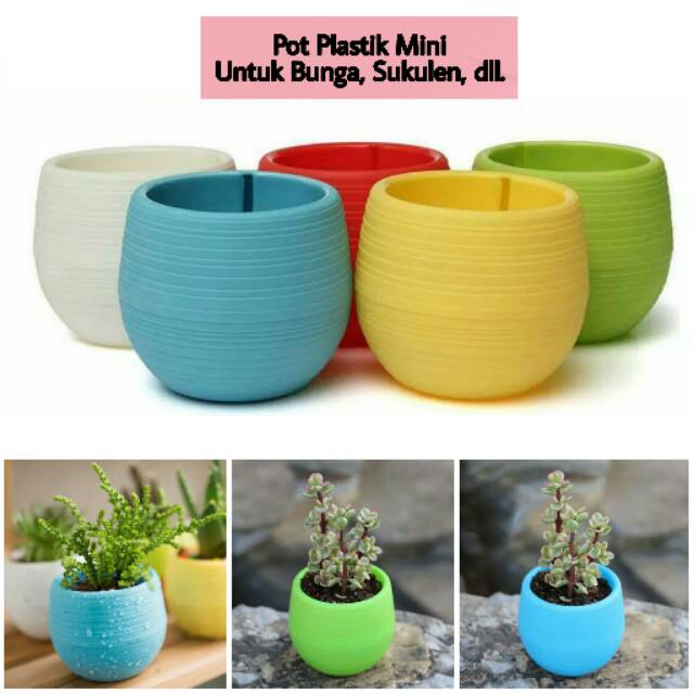 Pot Plastik Pot Bulat Pot Bola Pot Mini Pot Warna Warni Pot Bunga Pot Sukulen Pot Kaktus Vas Sekulen Shopee Indonesia