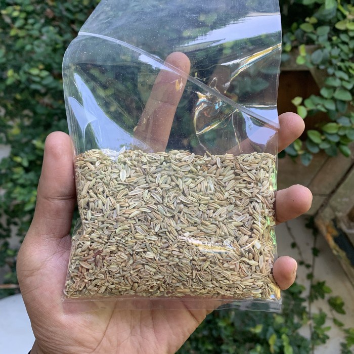 

Adas / fennel