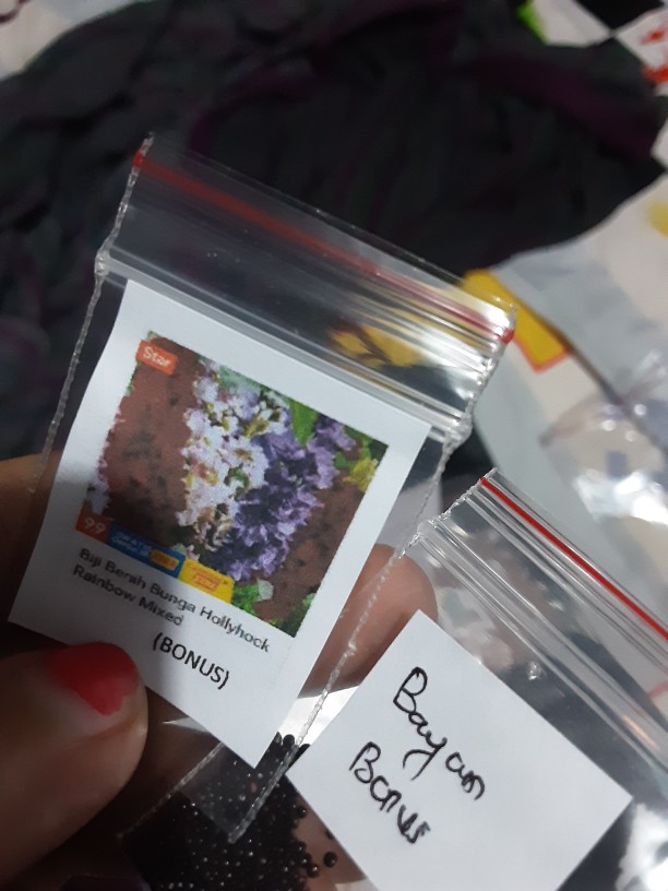 Biji Benih Paprika Mixed