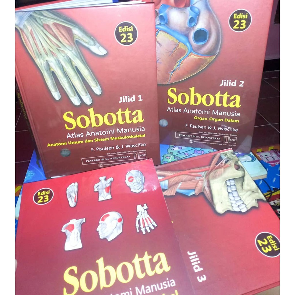 Jual Sobotta Atlas Anatomi Manusia Edisi Jilid Dan Buku Tabel Sobotta Indonesia Shopee