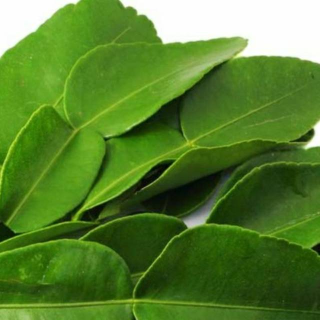 

Daun jeruk segar 50 gram