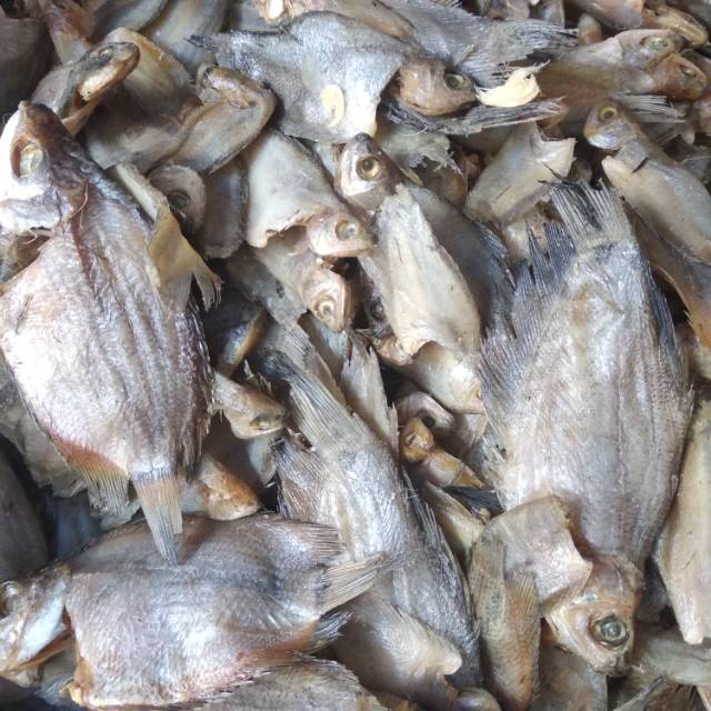 

IKAN ASIN SEPAT LAYANG