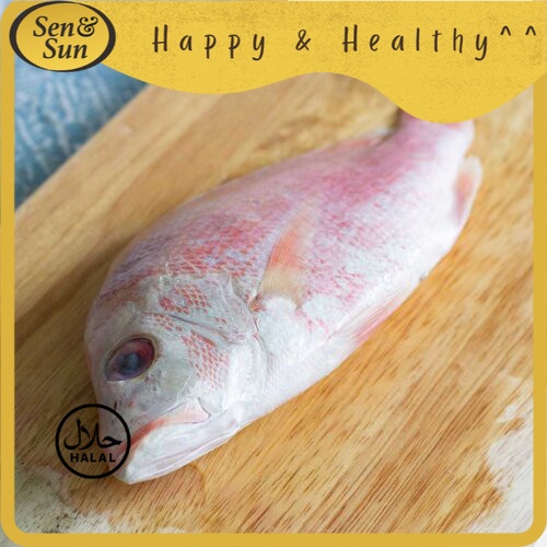 

Sen&Sun Ikan Kakap Merah 500 gr