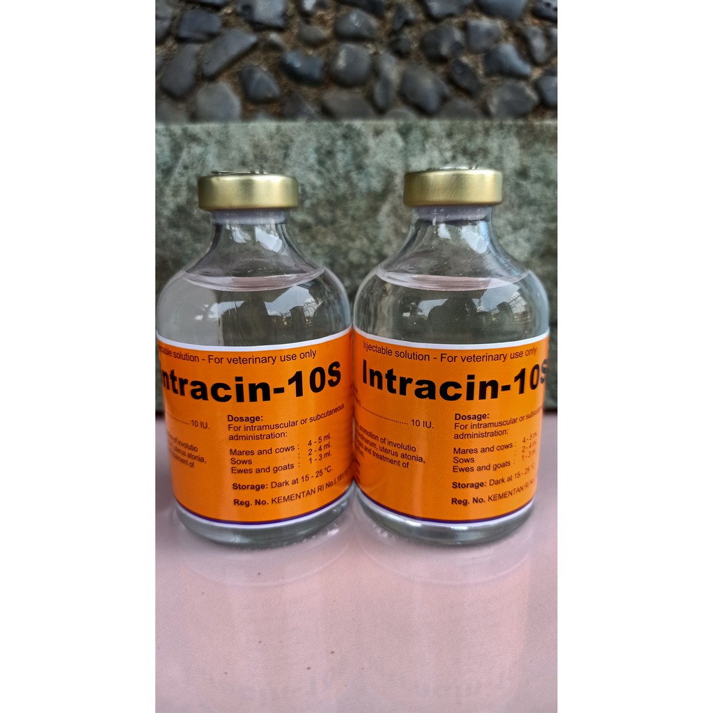 Intracin 10