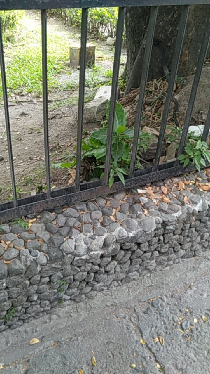 Kuas Cat Tembok Putih 1” Kuas Vernish Kuas Pernis 1 Inch