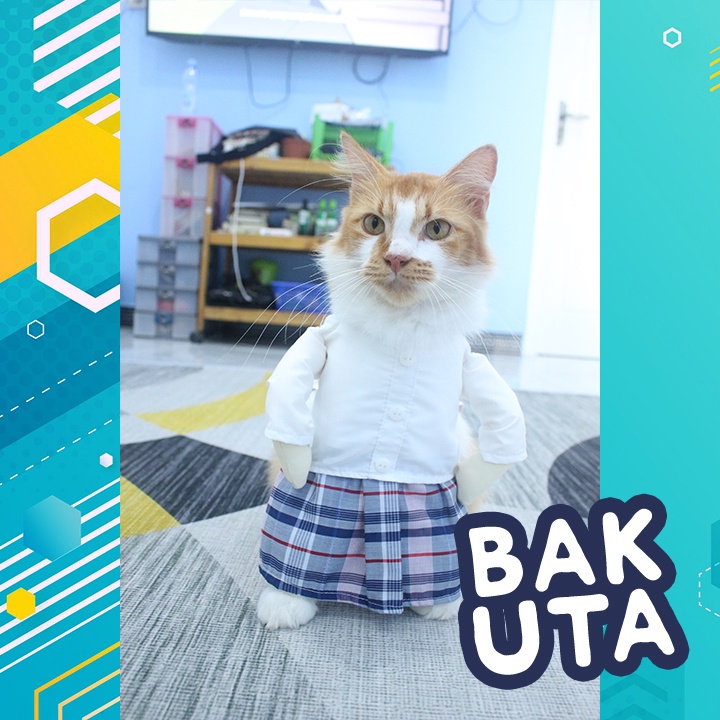 Kostum baju koko lebaran untuk kucing lucu / Baju kucing murah size S-XL