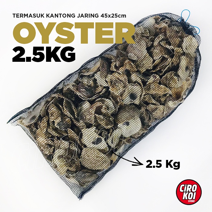 KERANG OYSTER PH Buffer Kolam OYSTER SHELL Kantong Jaring Kerang Laut