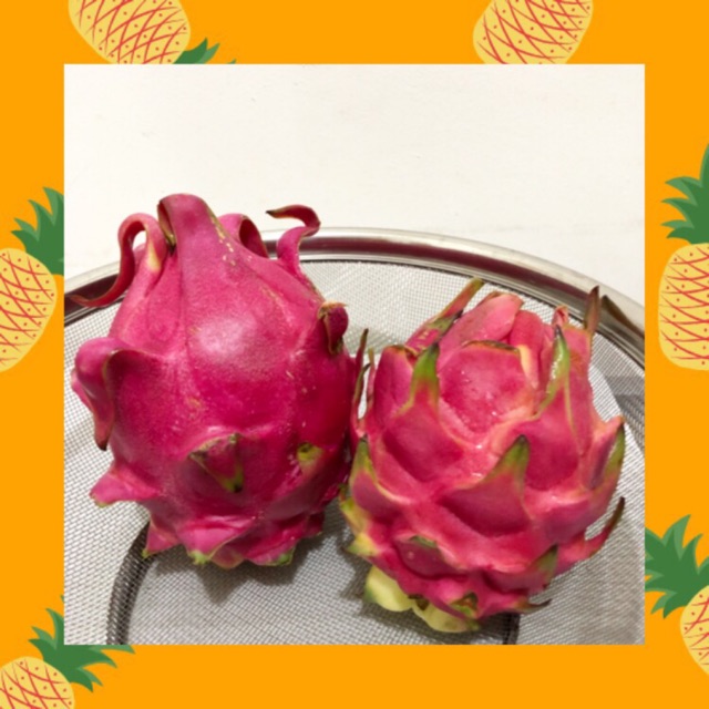 

Buah Naga Merah / Red Dragon Fruit