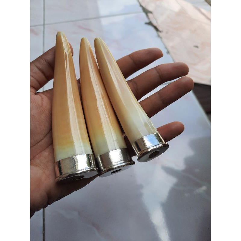 Pipa Once Tarduy / Taring Duyung