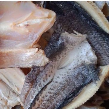 

ikan Asin Gabus