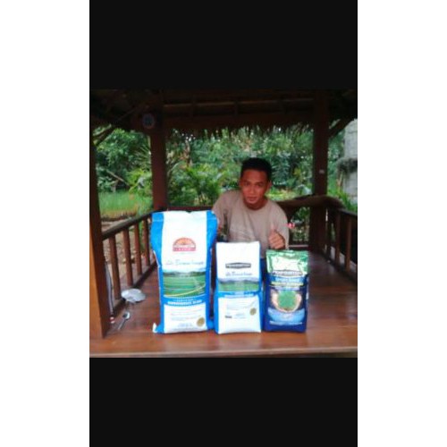 Jual benih biji rumput untuk lapangan sepak bola Murah