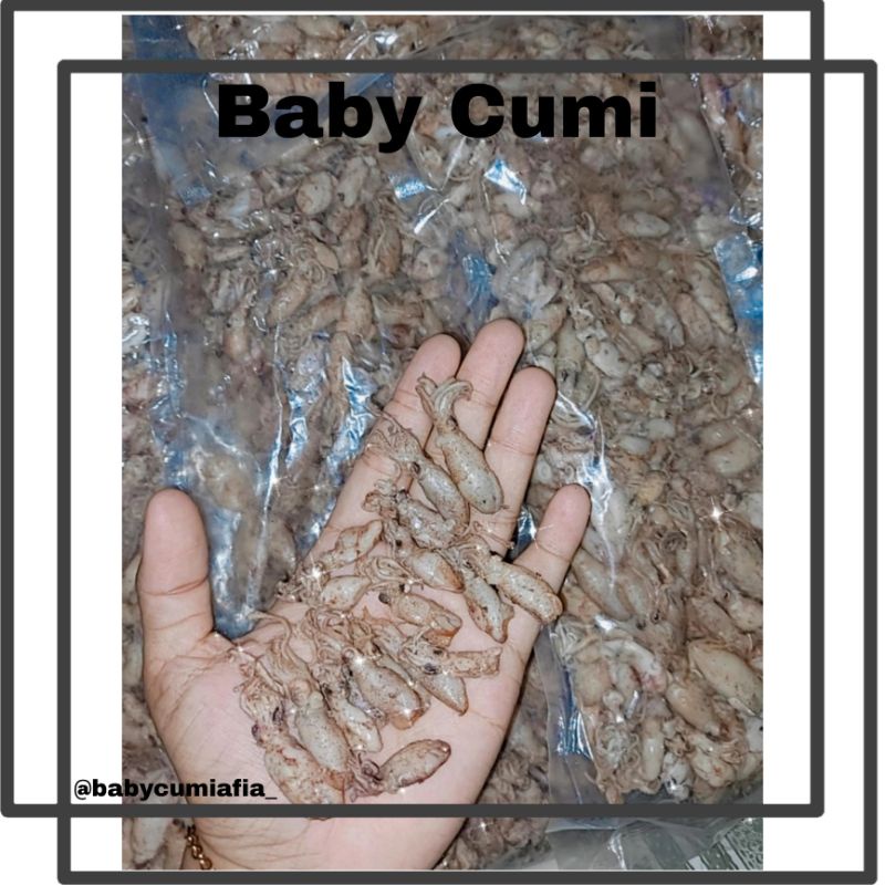 

BABY CUMI UKURAN 0,5-2CM BERAT 1KG