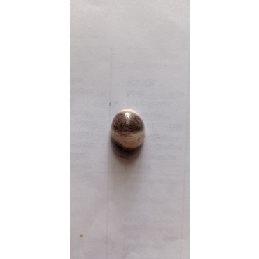 Batu Fosil Kelor Hitam Putih Hitam