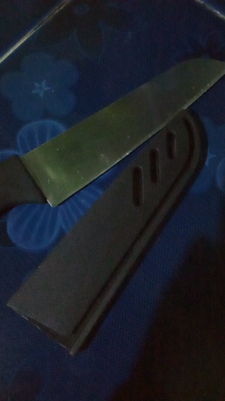 Pisau Dapur Buah Serbaguna Stainless Steel Tajam