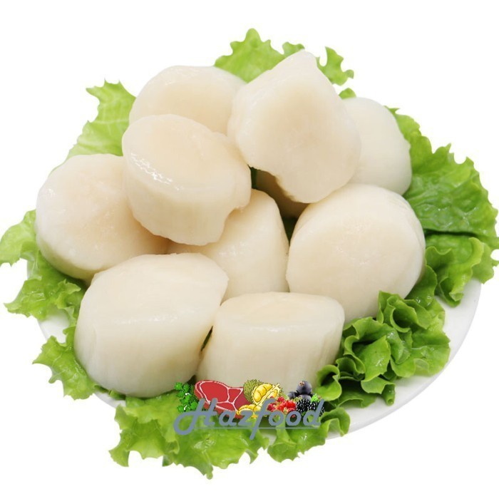 

Scallop Daging Kerang Srimping Ukuran 30/40 - 500 gram