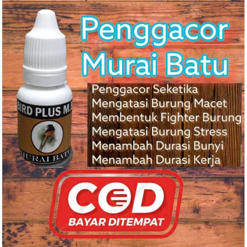 [COD] Penggacor Burung Murai Batu