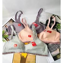 BRA Standart BODYFIT BH Tanpa Kawat SPORT BODYFIT Standart Dan Jumbo