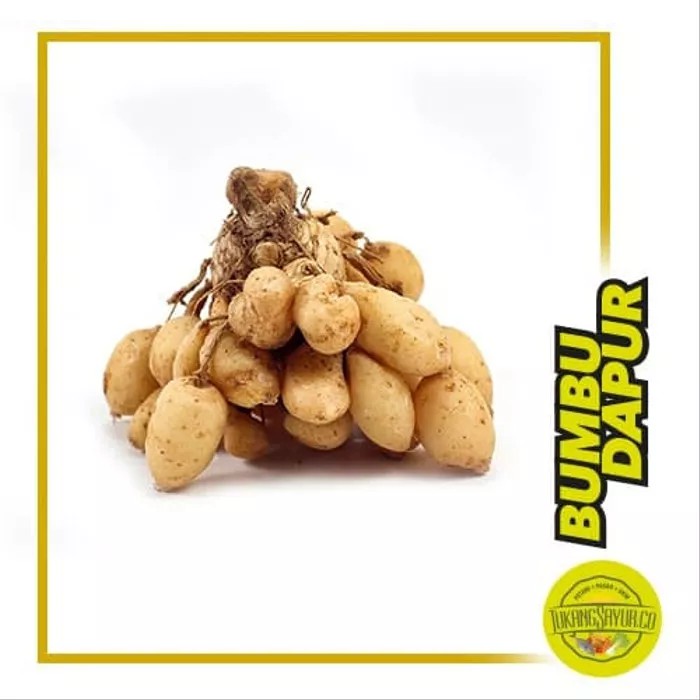 

Kunyit Putih - 250 gr