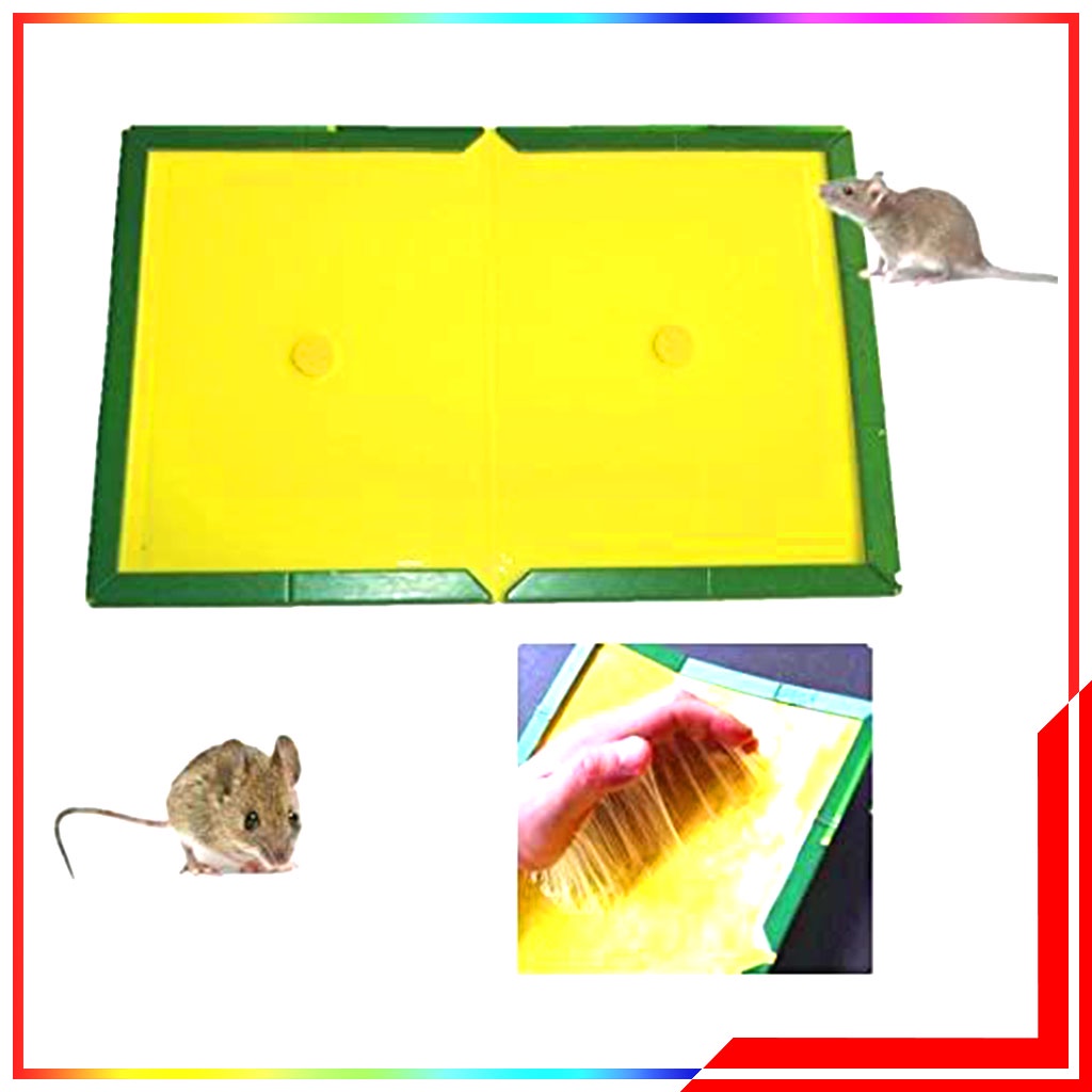 Lem Tikus Papan Cap Gajah Original / Perangkap Tikus Gajah Ampuh / Lem Tikus Super Lengket / Penghilang Tikus Di Rumah