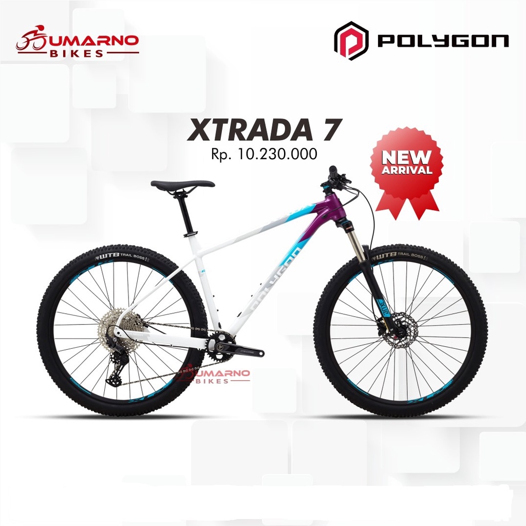 Sepeda Polygon Xtrada 7