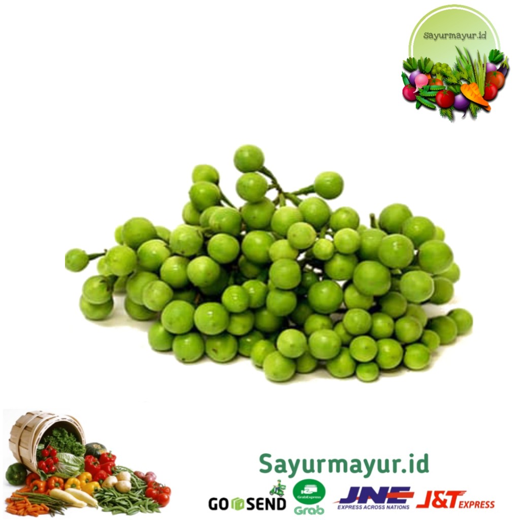 

LEUNCA / LENCA SAYURAN PER 1/4 GRAM (250 GRAM)
