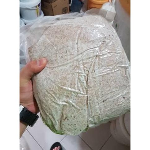 

Lazetta Whole Wheat Dark (Tepung Gandum) 2,5Kg