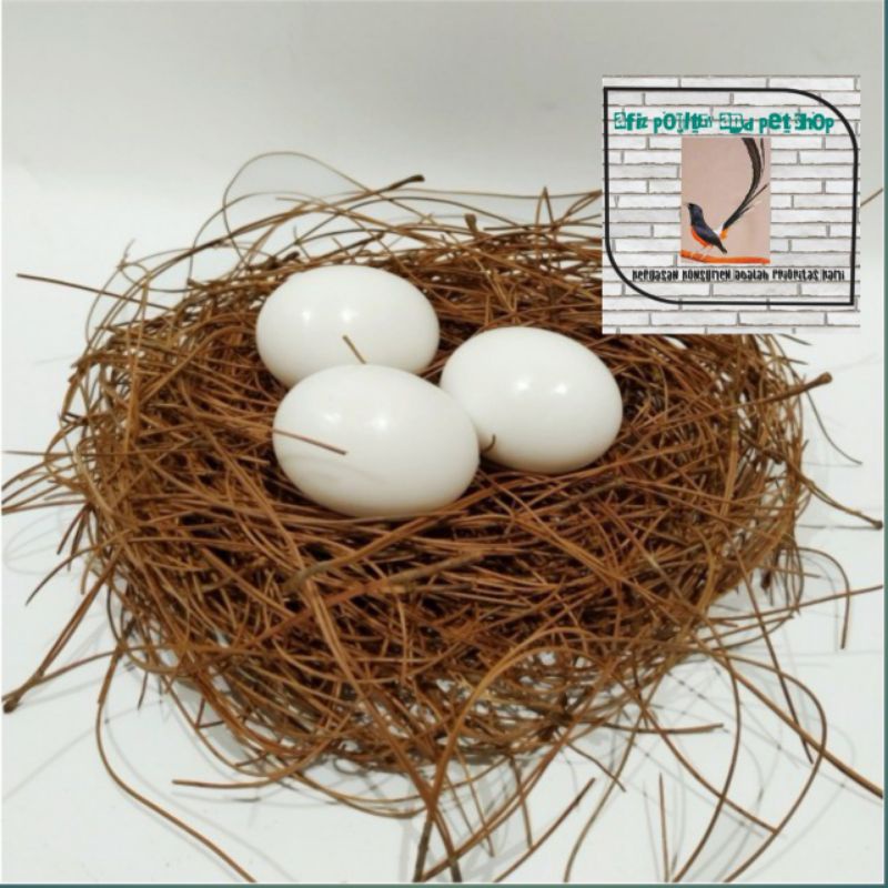 TELUR PALSU MAINAN BURUNG MERPATI / BURUNG DARA