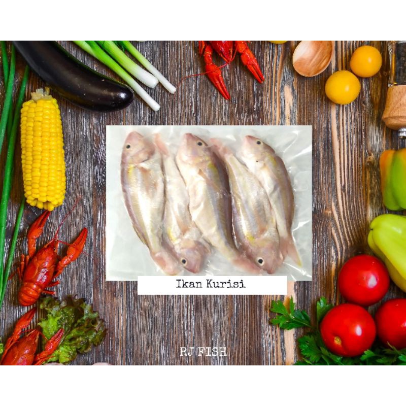 

Ikan Kurisi Kuningan Beku RJ Fish