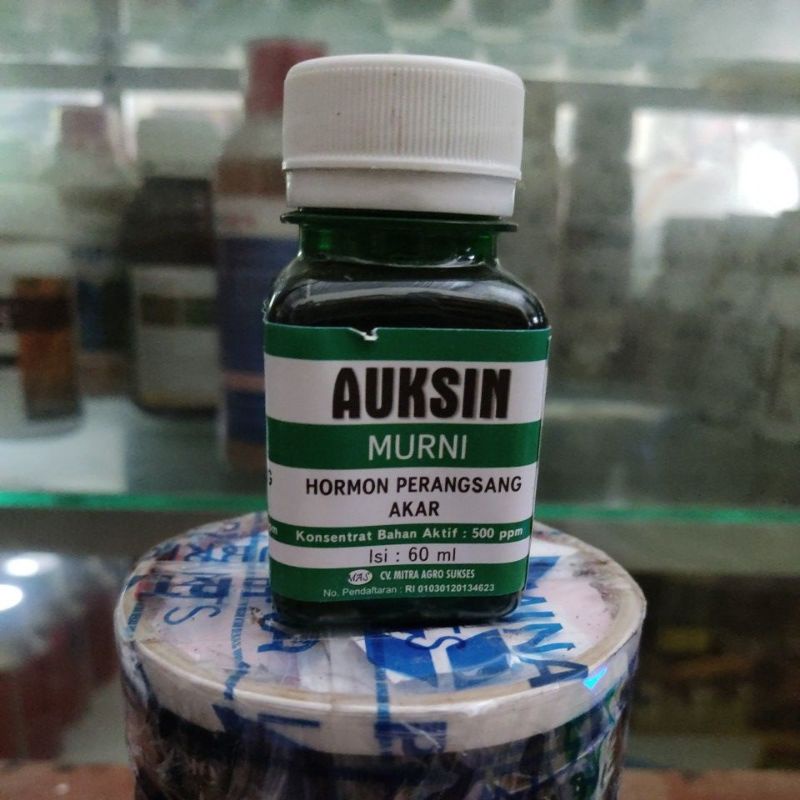 zpt auksin 60ml