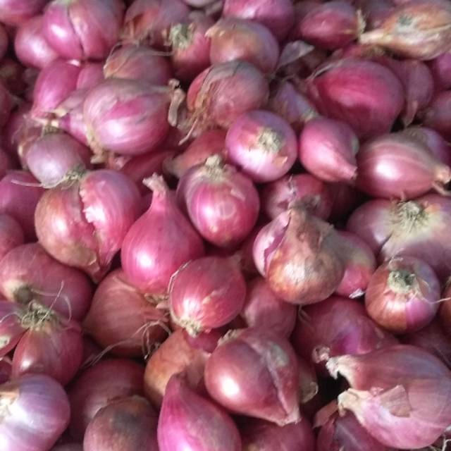 

bawang merah super