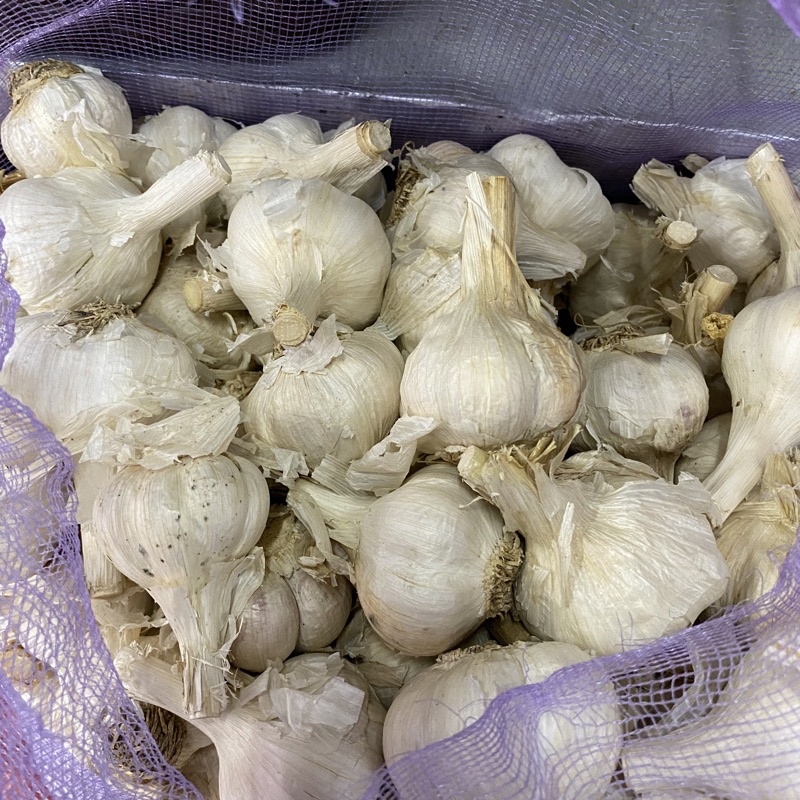 

(250gr) Bawang Putih/ Bawang Putih Kating/ Katingan Bawang/ Garlic/ Bawang Putih Katingan