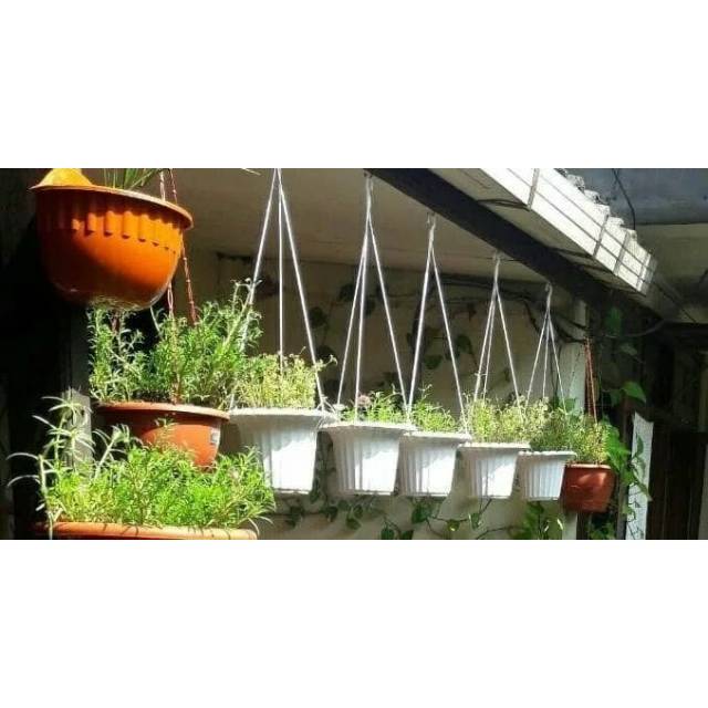 Pot bunga gantung mawar putih Shopee Indonesia Pot bunga gantung mawar putih Shopee Indonesia