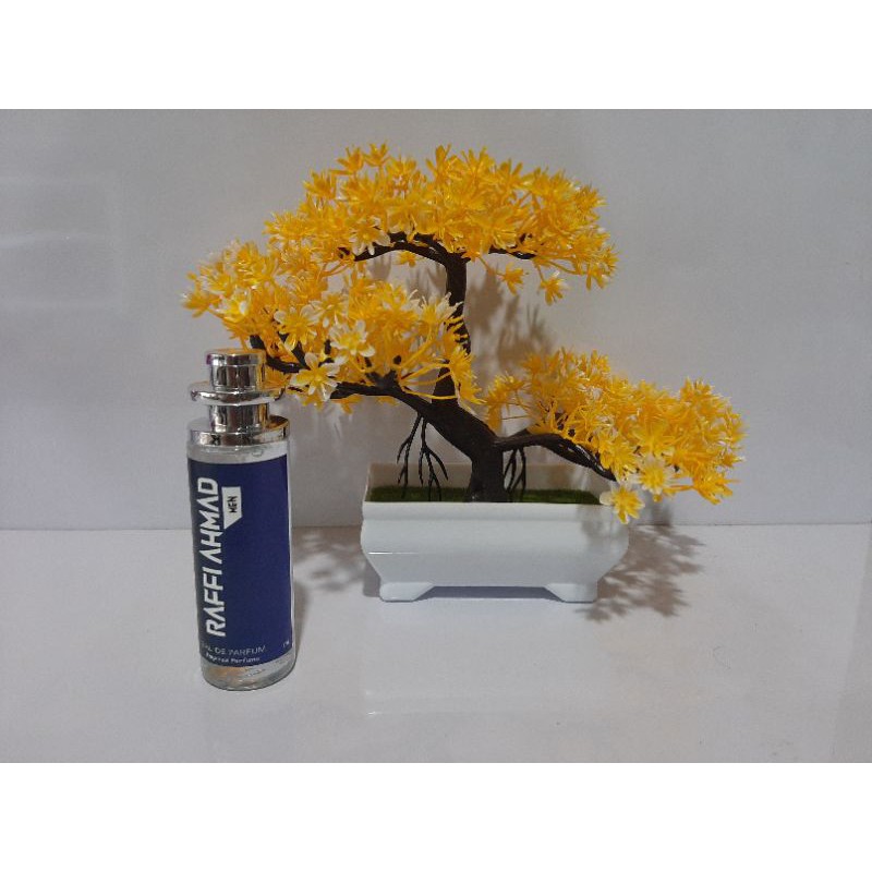 Parfum thailand raffi ahmad 35ml