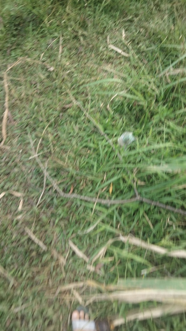 Maura Couple - Sania Ruffle Batik Couple Ori Ndoro Jowi Garansi Termurah Shopee - Batik Solo Modern