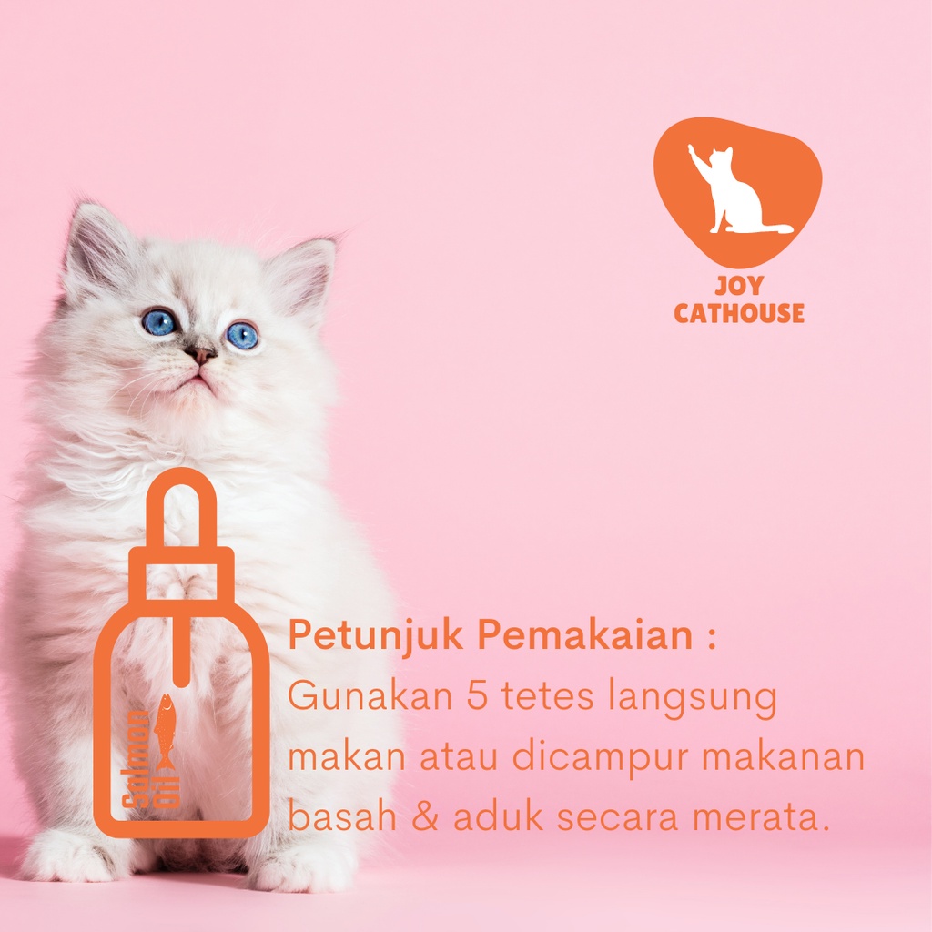 Max Petix Obat Tetes Kutu 1ml